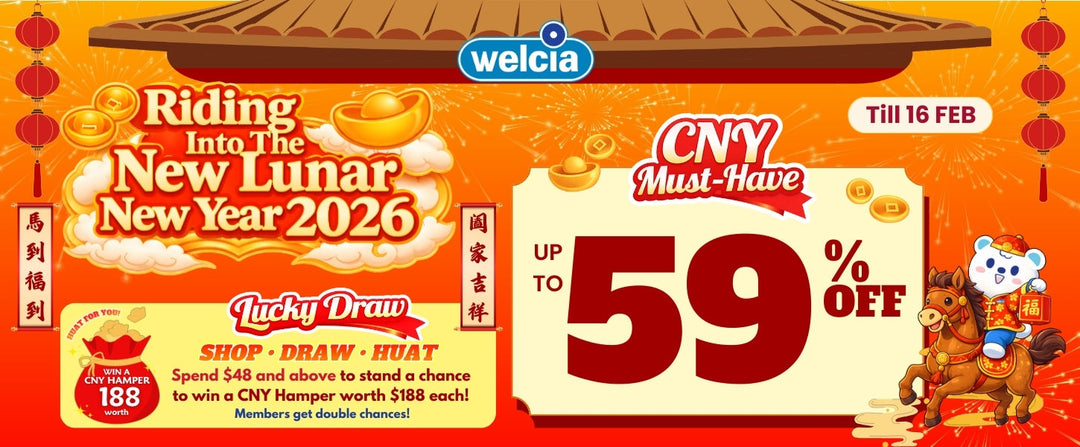 🧧🐎Riding Into the New Lunar New Year 2026!✨