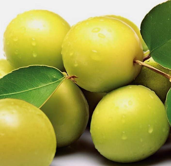 Welcia Kakadu Plum Serum 30mL (132595)