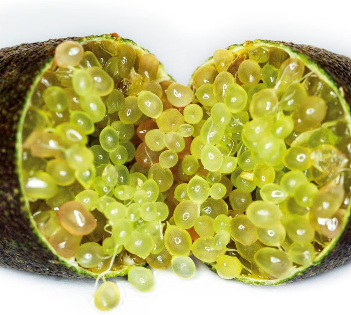 Welcia Lime Pearl Serum 30mL (132598)