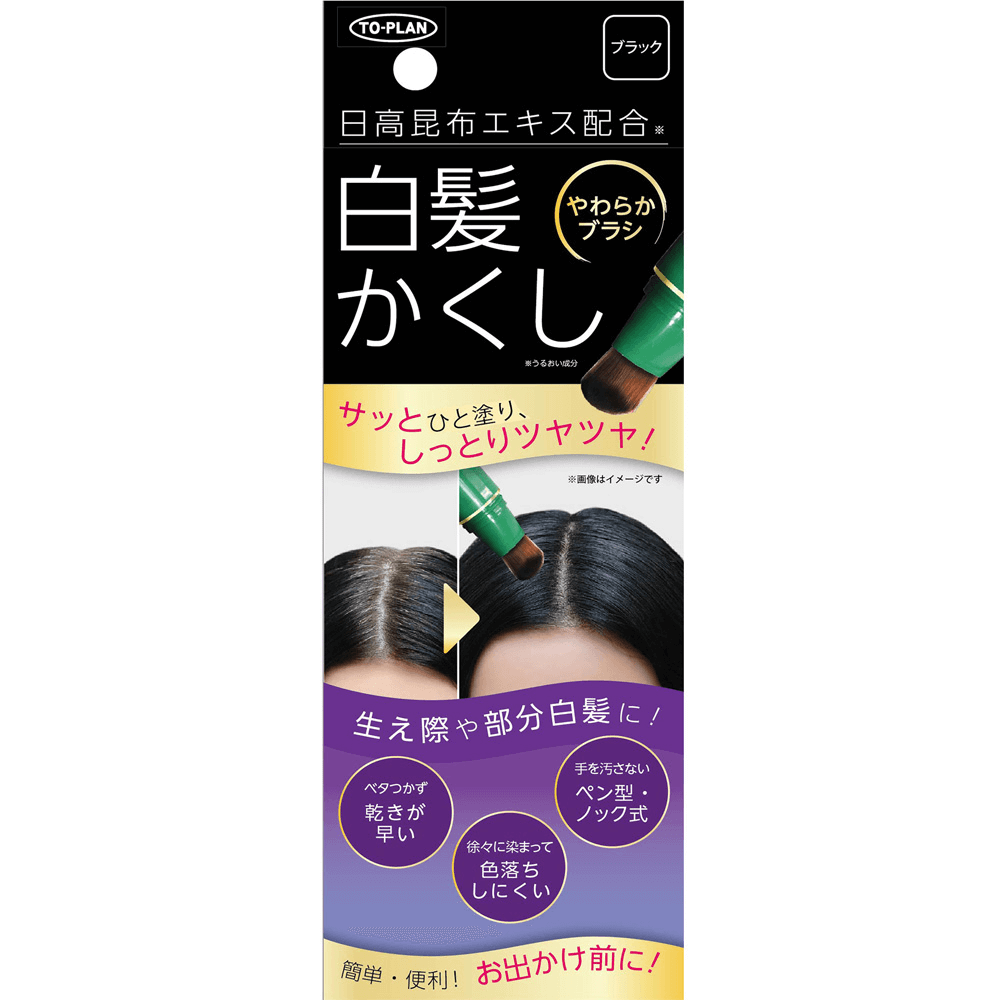 TO-PLAN Gray Hair Cover Stick Black 20G (129424)